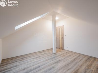 Rent apartment 2+KK Chotěšov, Kollárova č. 9