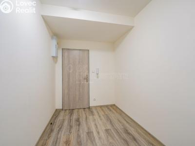 Rent apartment 2+KK Chotěšov, Kollárova č. 13