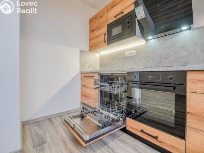 Rent apartment 2+KK Chotěšov, Kollárova č. 14