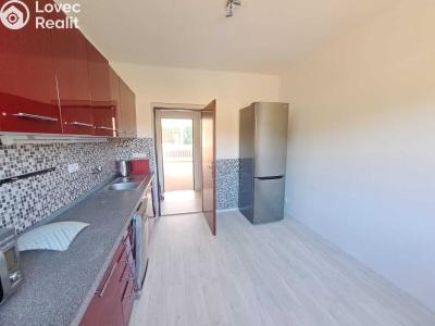 Rent apartment 2+1 Chvaleč č. 2