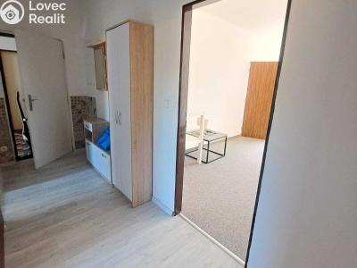 Rent apartment 2+1 Chvaleč č. 4