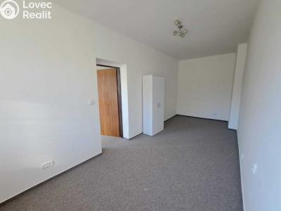 Rent apartment 2+1 Chvaleč č. 11