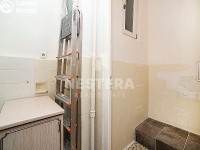 Pronájem bytu 2+1 Praha, Františka Křížka č. 19
