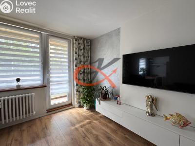 Продаж квартири 3+1 Rožnov pod Radhoštěm, 5. května č. 29