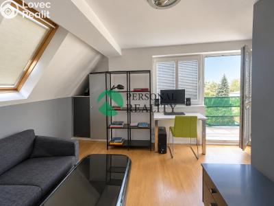 Sale apartment 2+KK Poděbrady, Říční č. 6