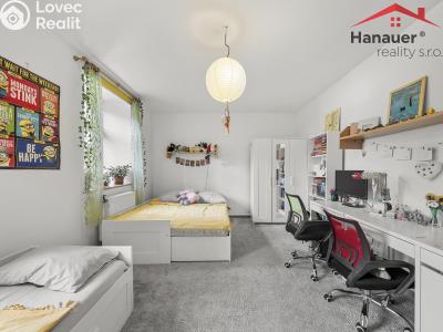 Продажа квартиры 2+1 Polevsko č. 16