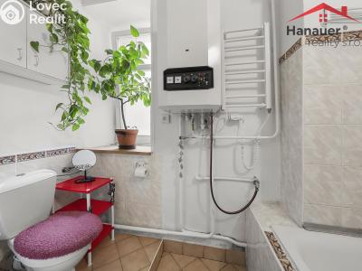 Sale apartment 2+1 Polevsko č. 11