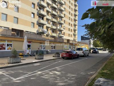 Sale apartment 4+1 Prachatice, Národní č. 88