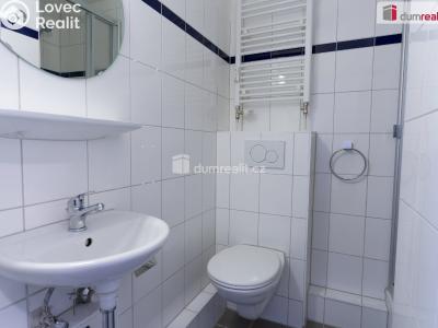 Pronájem bytu 1+KK Praha 9, Děčínská č. 9