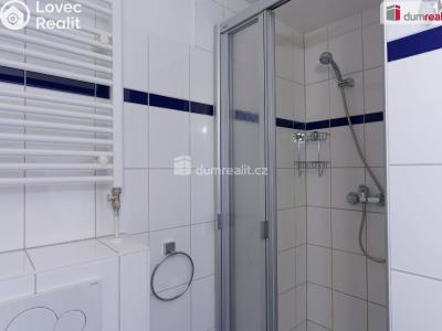 Pronájem bytu 1+KK Praha 9, Děčínská č. 10