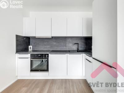 Оренда квартири 2+KK Praha, Hindlova č. 4