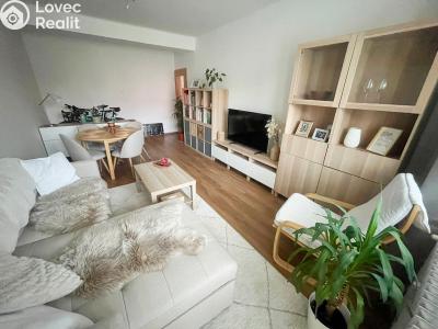 Sale apartment 2+1 Ostrava, Resslova č. 1