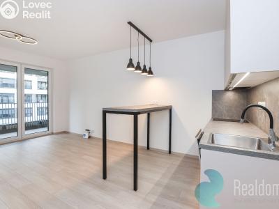 Rent apartment 1+KK Praha, Poděbradská č. 4