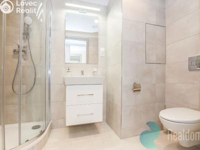 Rent apartment 1+KK Praha, Poděbradská č. 8