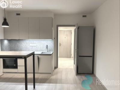 Rent apartment 1+KK Praha, Poděbradská č. 17