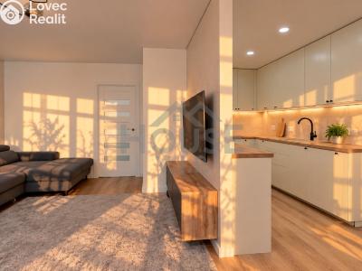 Sale apartment 5+KK Praha, Přemyslovská č. 4