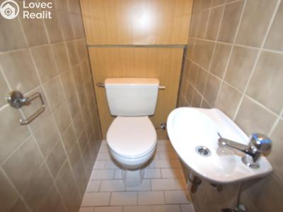 Pronájem bytu 2+1 Praha č. 15