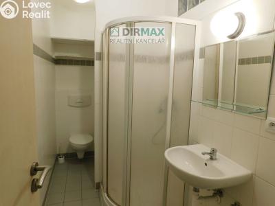 Rent apartment 1+1 Plzeň, Malesická č. 7