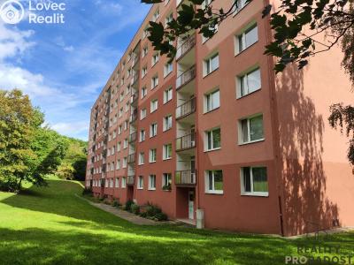Pronájem bytu 1+1 Chomutov, 17. listopadu č. 20