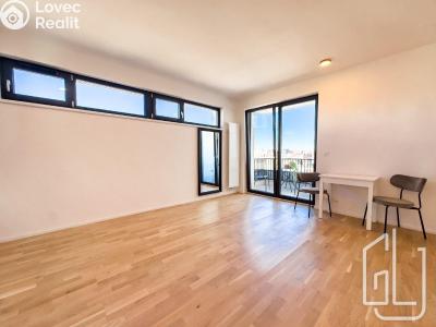 Оренда квартири 1+KK Praha, Hasilova č. 3