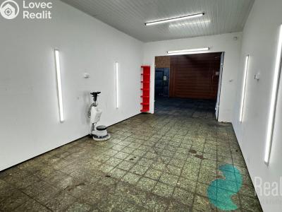 Pronájem garáže Kaplice, Omlenická č. 3