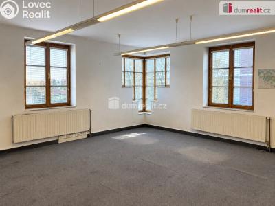 Rent office space Břeclav, Nová č. 1