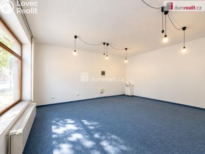 Rent office space Břeclav, Nová č. 2