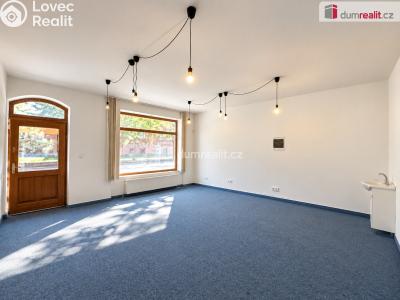 Rent office space Břeclav, Nová č. 3