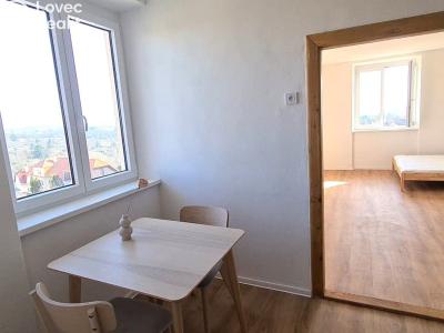 Prodej bytu 1+1 Znojmo, Palliardiho č. 21