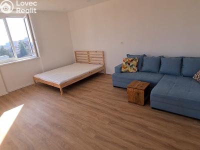 Prodej bytu 1+1 Znojmo, Palliardiho č. 14
