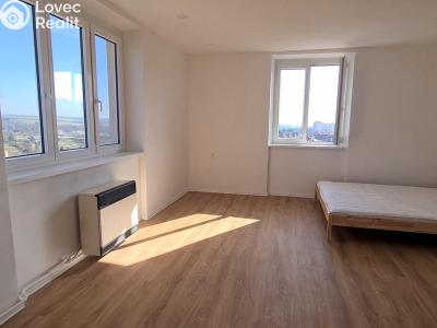 Prodej bytu 1+1 Znojmo, Palliardiho č. 16