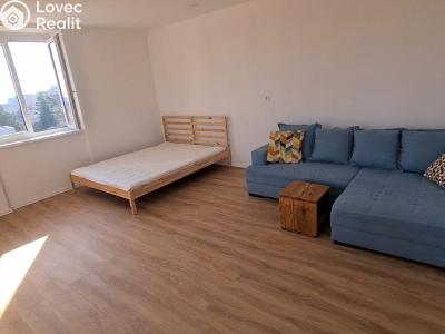 Prodej bytu 1+1 Znojmo, Palliardiho č. 17