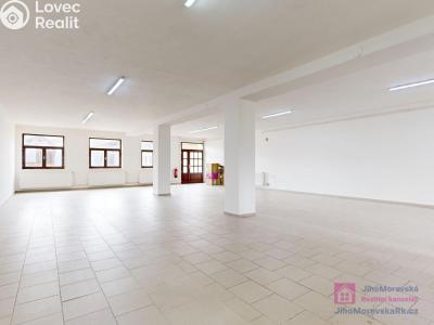Rent commercial space Rakvice, Zahradní 413 č. 9