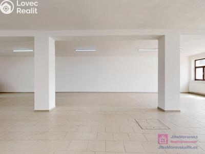 Rent commercial space Rakvice, Zahradní 413 č. 11