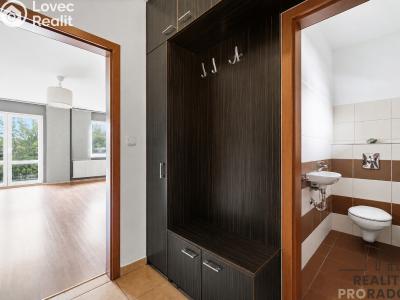 Sale apartment 3+KK Hovorčovice, Řipská č. 6