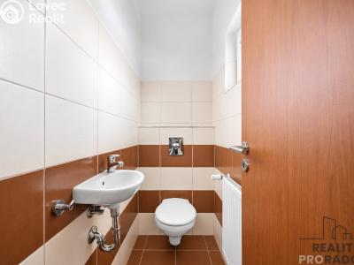 Sale apartment 3+KK Hovorčovice, Řipská č. 7