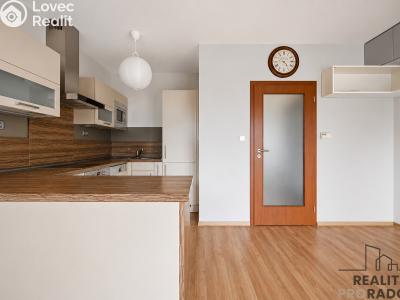 Sale apartment 3+KK Hovorčovice, Řipská č. 15