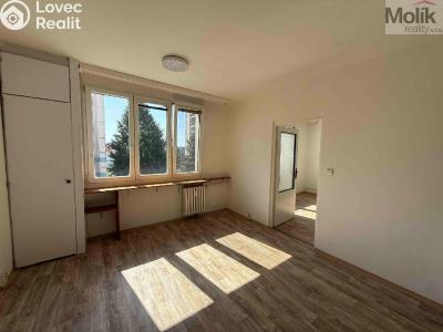 Pronájem bytu 1+1 Litvínov, B. Němcové 806 č. 4