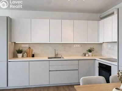 Оренда квартири 3+KK Praha, Raichlova č. 3