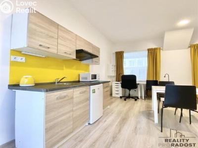 Pronájem bytu 1+KK Brno, Václavská č. 6