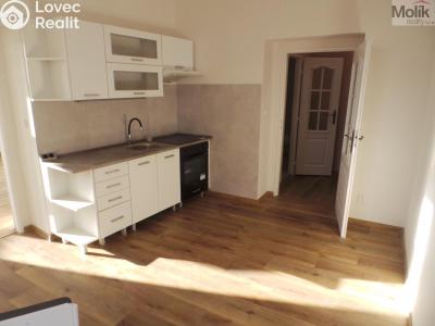 Pronájem bytu 2+1 Litvínov, Tyrše a Fügnera č. 4