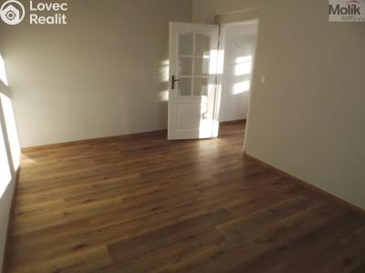 Pronájem bytu 2+1 Litvínov, Tyrše a Fügnera č. 5