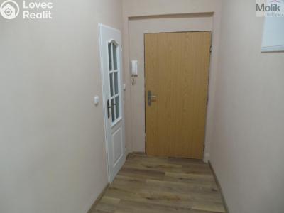Pronájem bytu 2+1 Litvínov, Tyrše a Fügnera č. 9