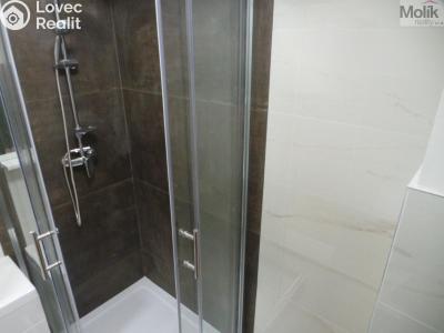 Pronájem bytu 2+1 Litvínov, Tyrše a Fügnera č. 11