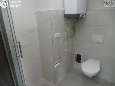 Pronájem bytu 2+1 Litvínov, Tyrše a Fügnera č. 13