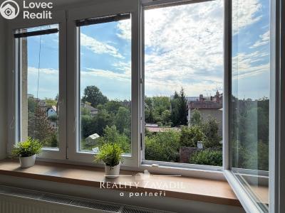 Sale apartment 3+1 Pardubice, Sezemická č. 14