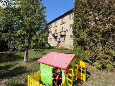 Sale apartment 3+1 Pardubice, Sezemická č. 20