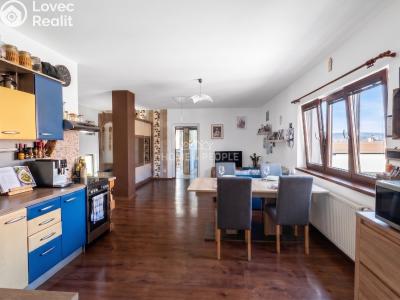 Продаж сімейного будинку Spořice, Luční č. 3