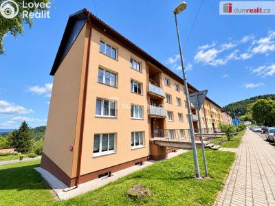 Sale apartment 1+1 Oloví, náměstí Horní č. 1