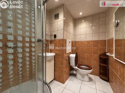 Sale apartment 1+1 Oloví, náměstí Horní č. 2